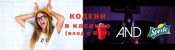 соль ск Ладушкин