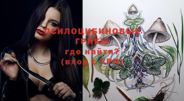 соль ск Ладушкин