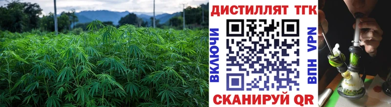 ТГК THC oil  Рубцовск 