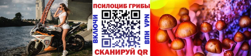Галлюциногенные грибы Magic Shrooms  Рубцовск 